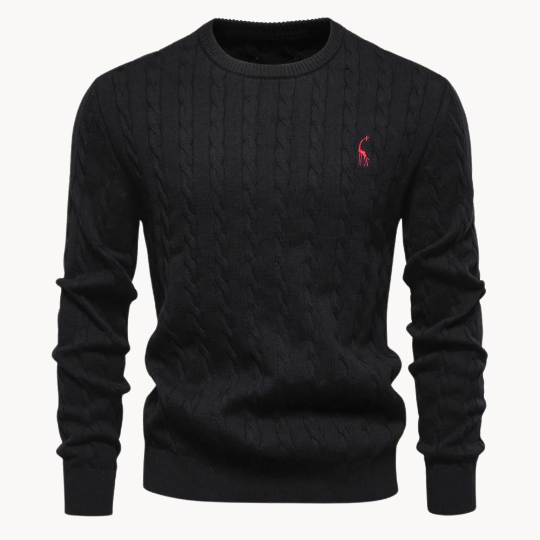 Soft cotton sweater for men | Lark -7