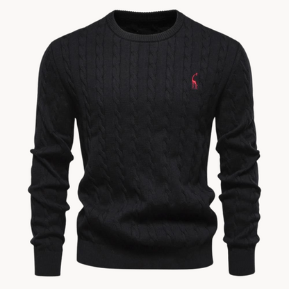 Soft cotton sweater for men | Lark -7