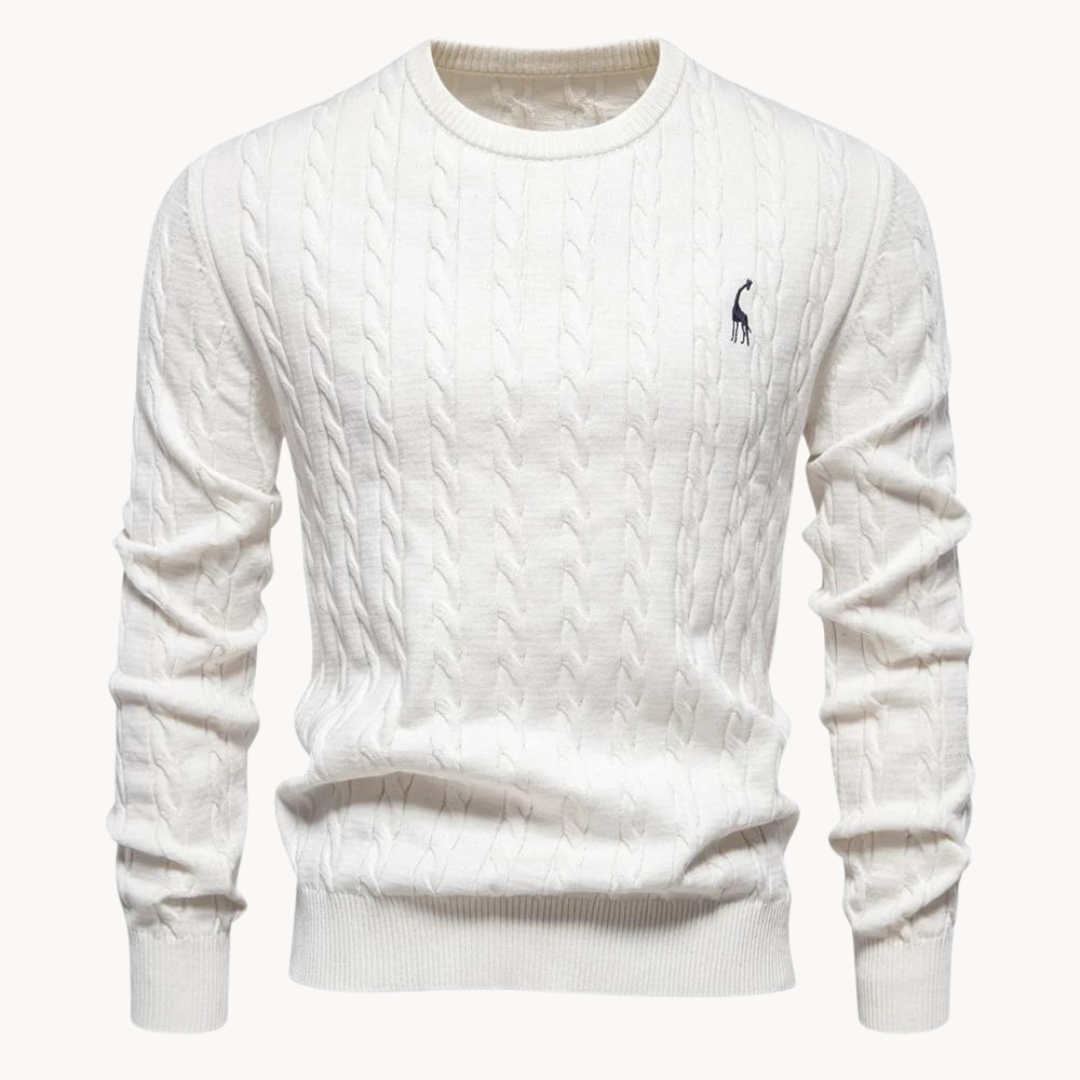 Soft cotton sweater for men | Lark -3