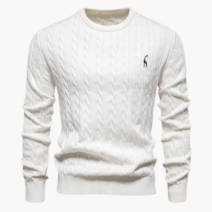 Soft cotton sweater for men | Lark -3