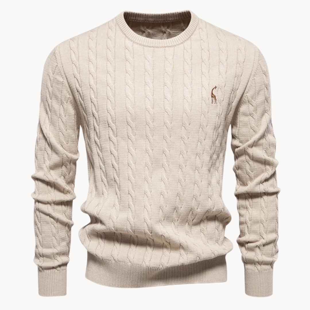 Soft cotton sweater for men | Lark -9