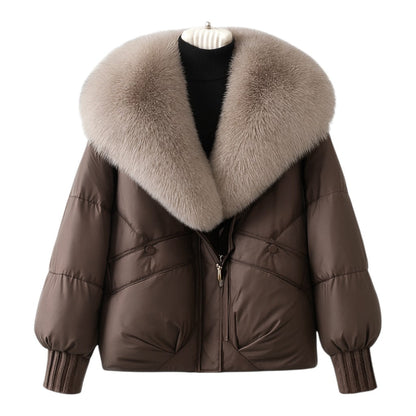 Structured puffer oversized collar jacket for women | Elara -2