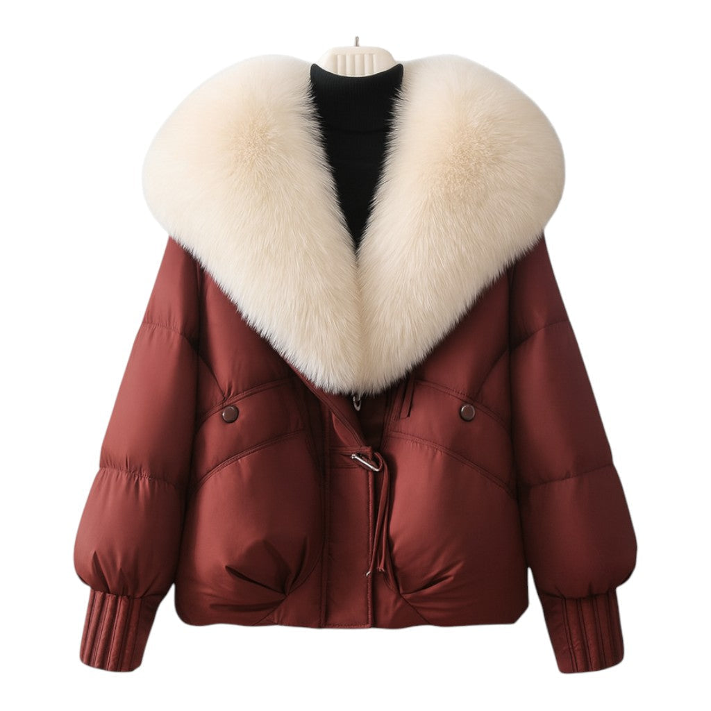Structured puffer oversized collar jacket for women | Elara -1