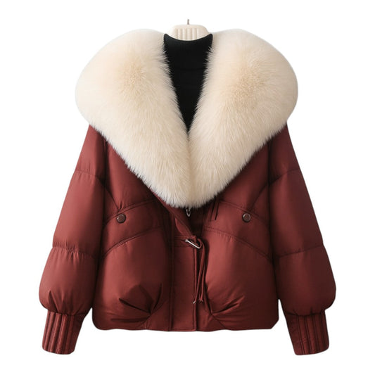 Structured puffer oversized collar jacket for women | Elara -1