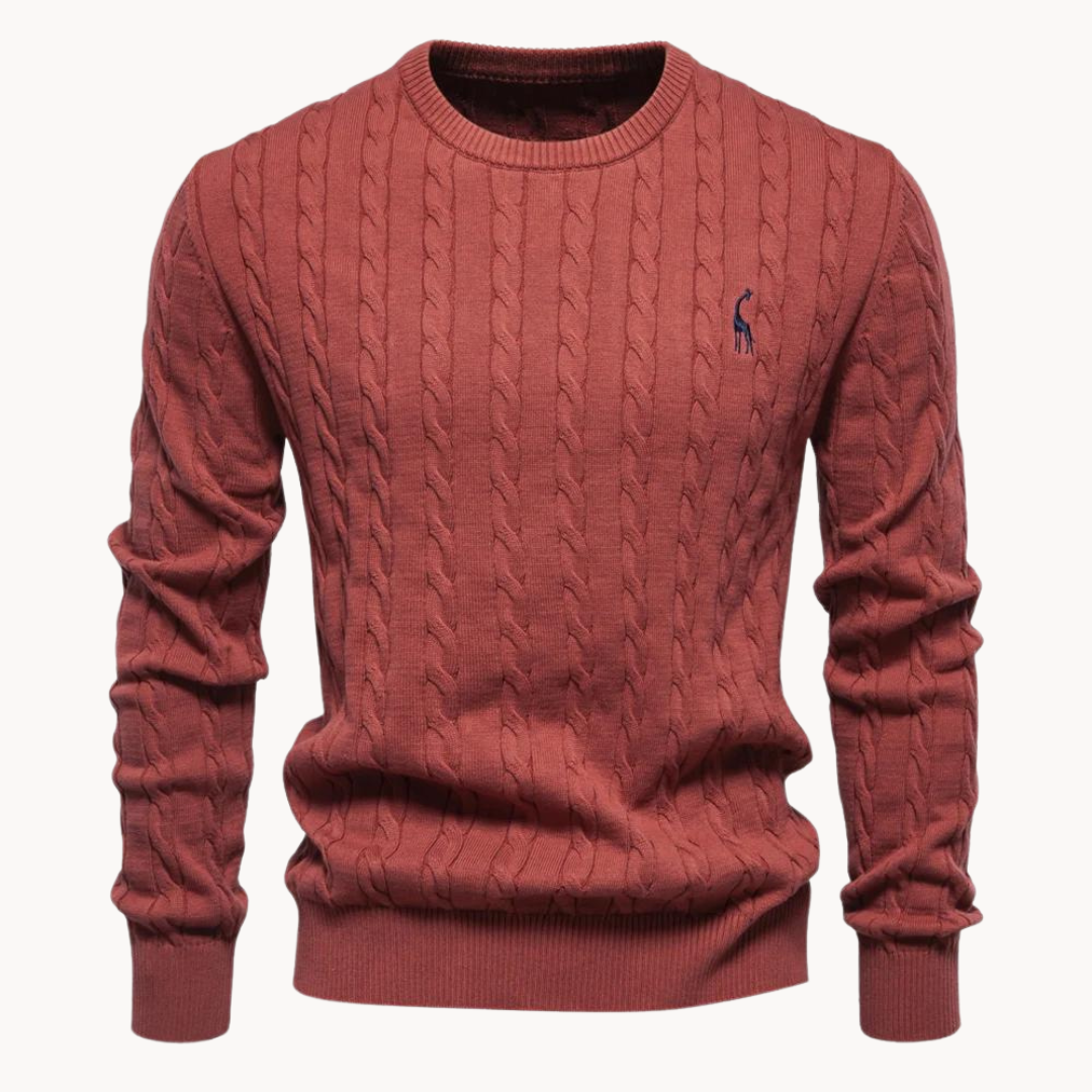 Soft cotton sweater for men | Lark -13