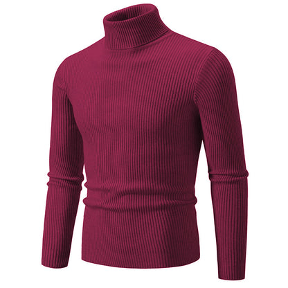 Turtleneck slim sweater for men | Oliver -5