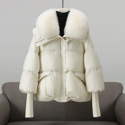 Length puffer statement collar jacket for women | Extended -2