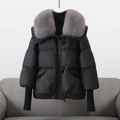 Length puffer statement collar jacket for women | Extended -1