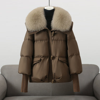 Length puffer statement collar jacket for women | Extended -3