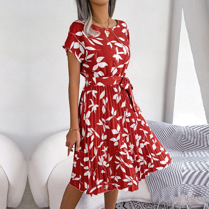 A-line chic dress for women | Janette -6